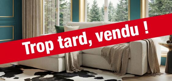 Grand canapé 3 places avec chaise longue