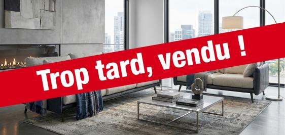 Grand Canapé 3 places + Canapé 2 places bicolore