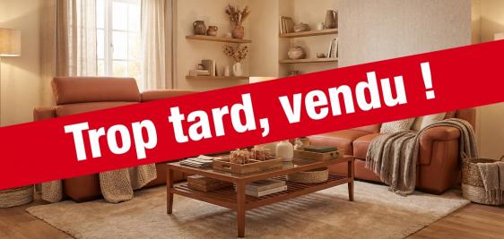 Canapé 3 places AVEC DEUX RELAX électriques + Canapé 2 places